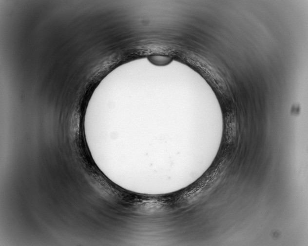 X0000103400310200810100940