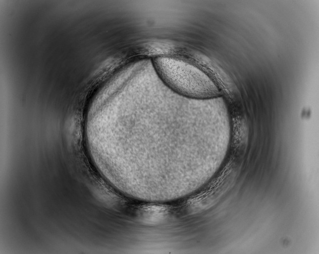 X0000103400313200810100939