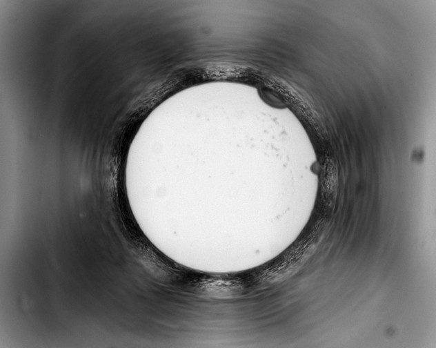 X0000103400315200810100939