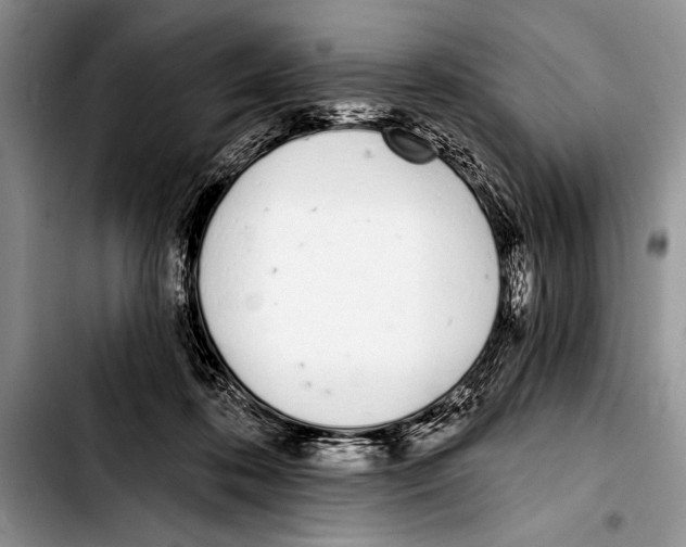 X0000103400316200810100939