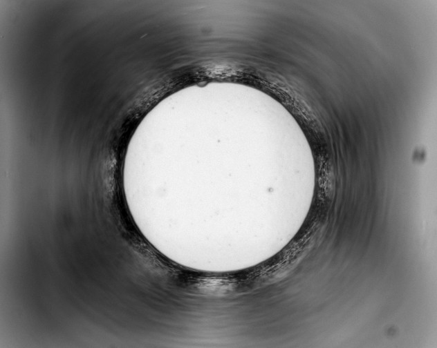 X0000103400319200810100939