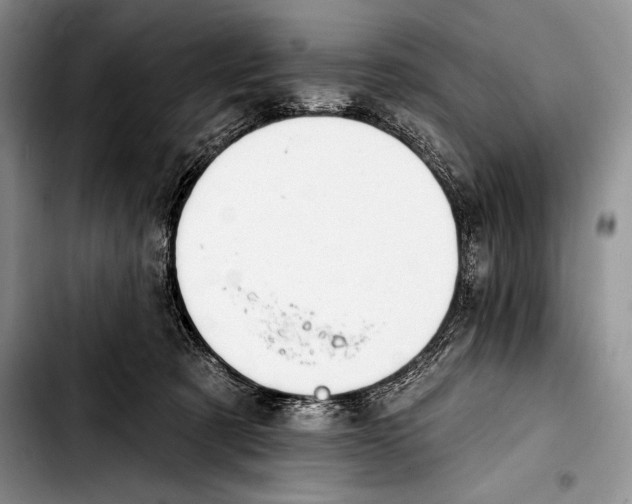 X0000103400321200810100939