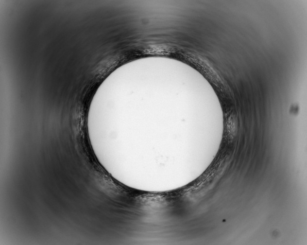 X0000103400322200810100939