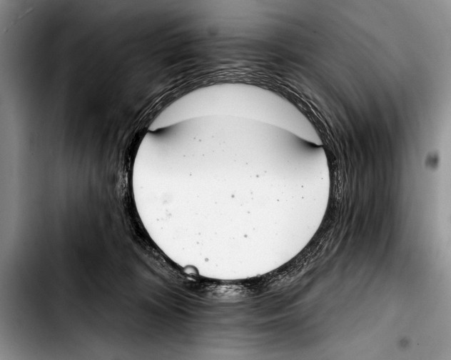 X0000103400324200810100939