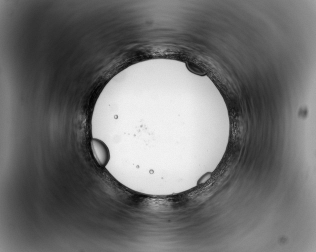 X0000103400327200810100939