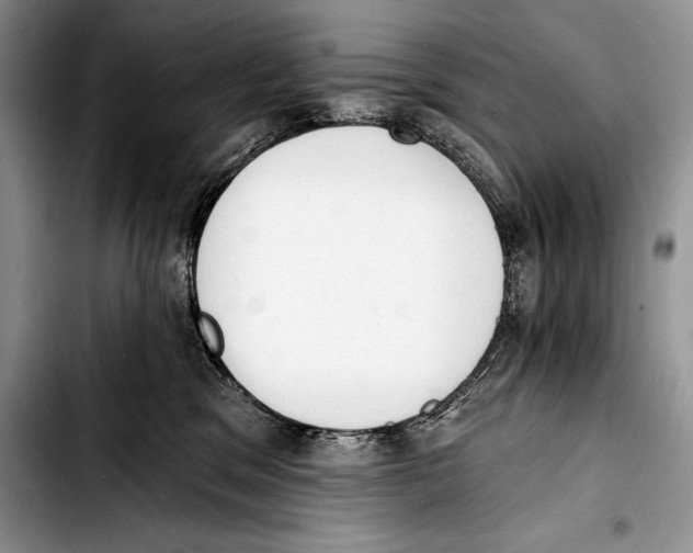 X0000103400329200810100939