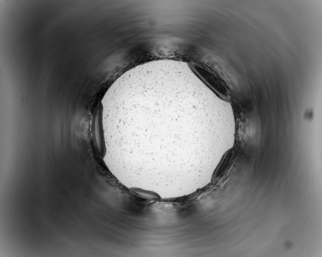 X0000103400332200810100939