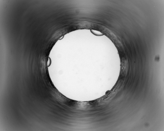 X0000103400333200810100939