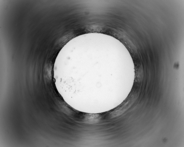 X0000103400334200810100939