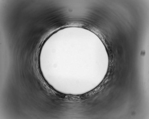 X0000103400337200810100939