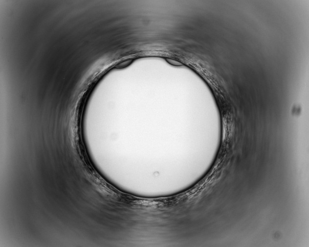 X0000103400339200810100939