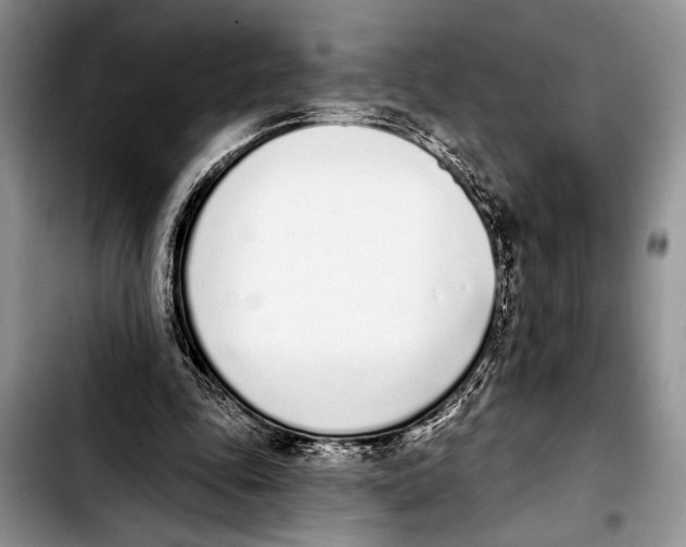 X0000103400343200810100939