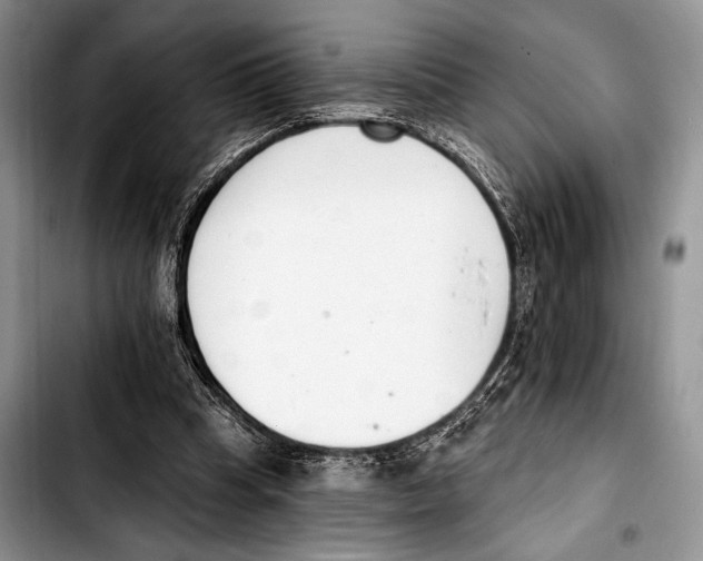 X0000103400345200810100939