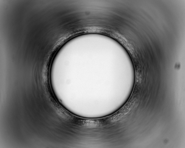 X0000103400347200810100939