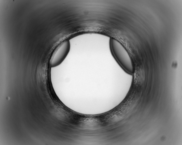 X0000103400348200810100939