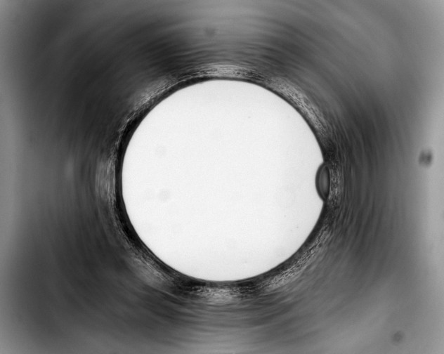 X0000103400349200810100939