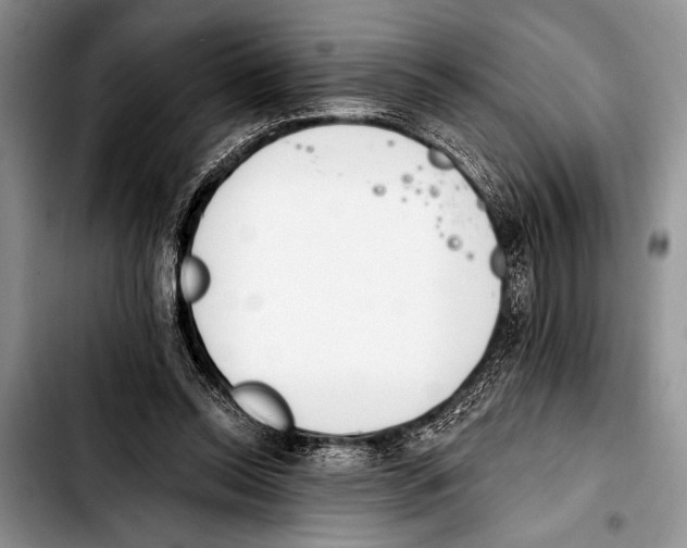 X0000103400350200810100939