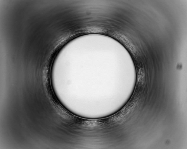 X0000103400351200810100939