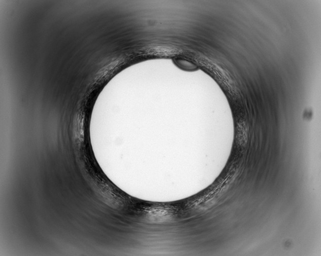 X0000103400358200810100939