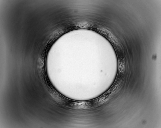 X0000103400365200810100939