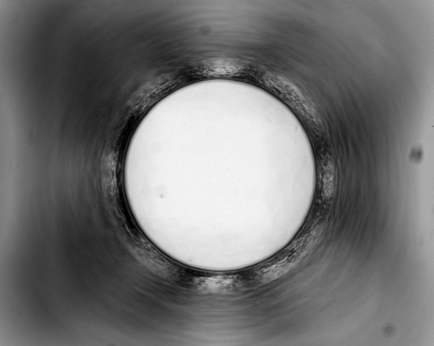 X0000103400366200810100939