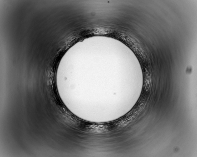 X0000103400367200810100939