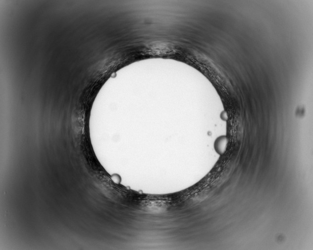 X0000103400368200810100939