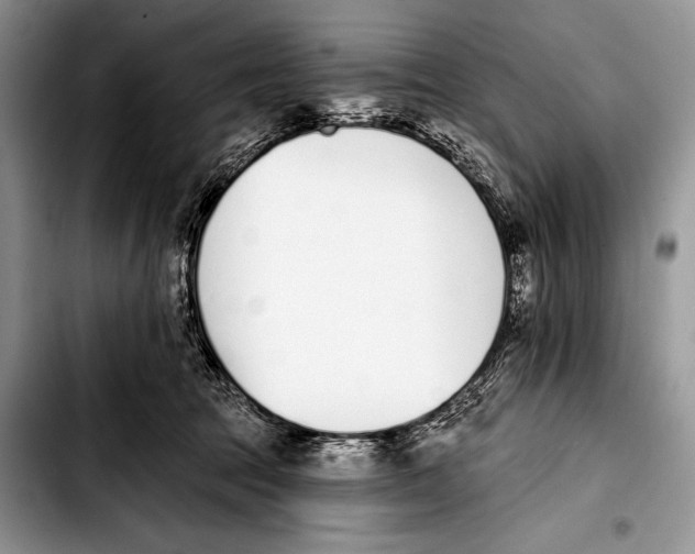 X0000103400369200810100939