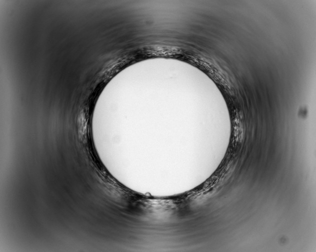 X0000103400371200810100939