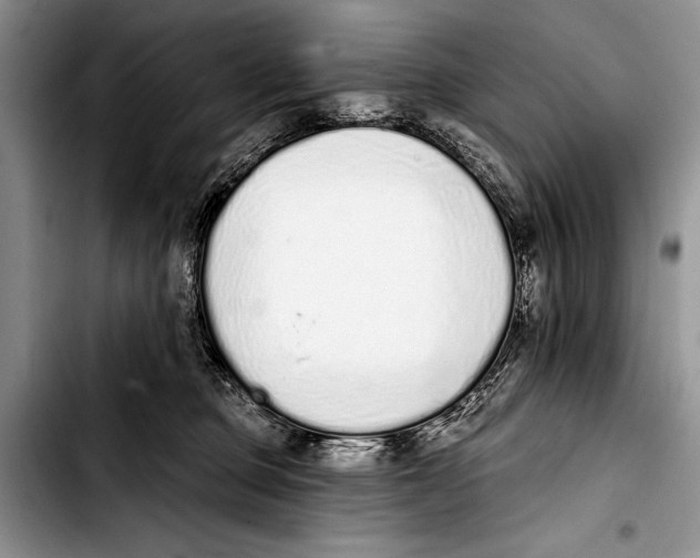 X0000103400373200810100939