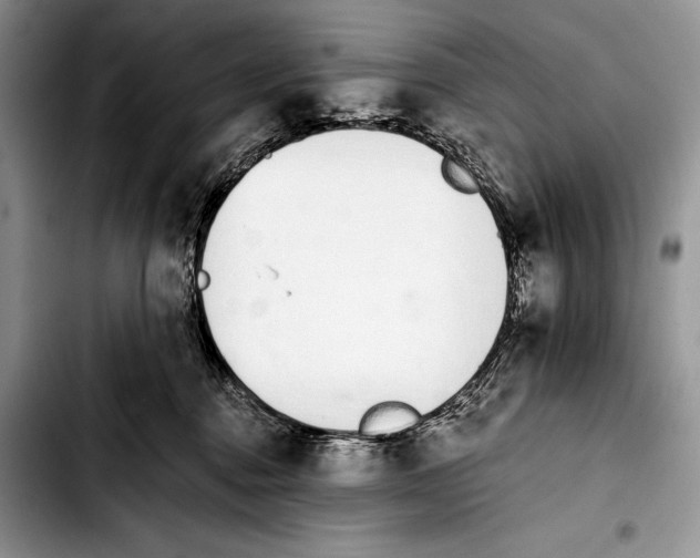 X0000103400376200810100939