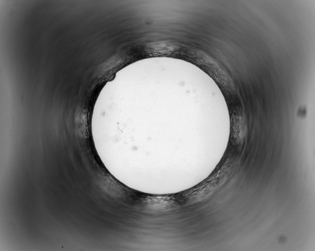 X0000103400378200810100939