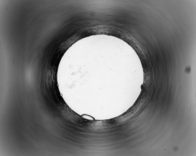 X0000103400382200810100939