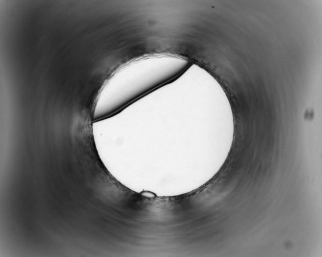 X0000103400384200810100939