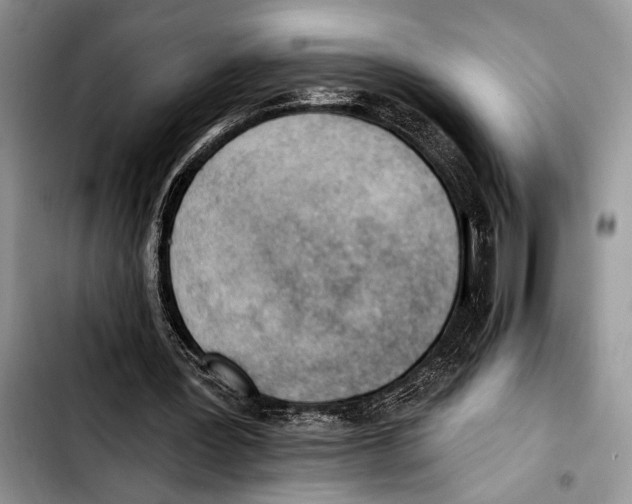 X0000103400387200810100938