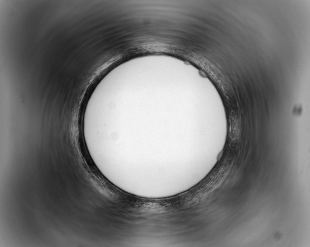 X0000103400390200810100938