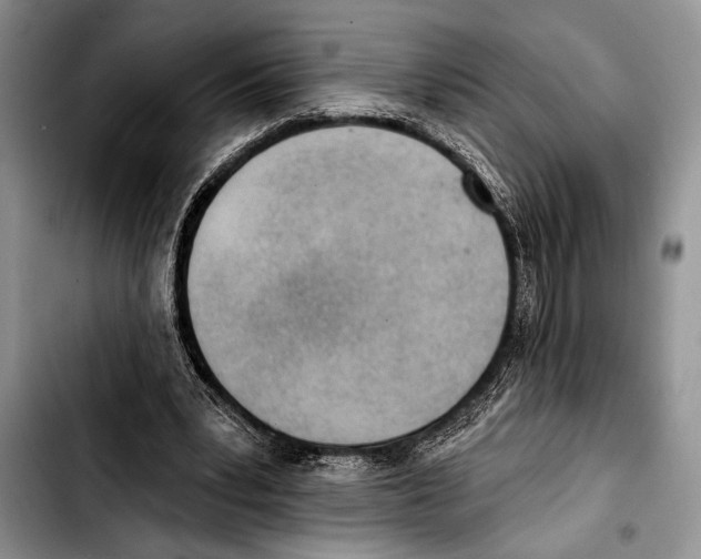 X0000103400391200810100938