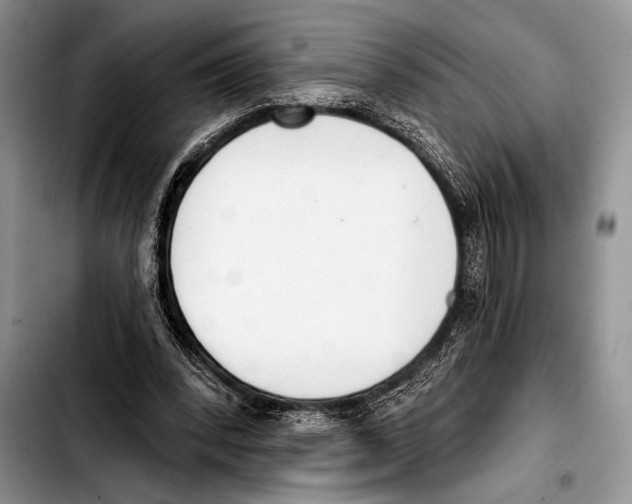 X0000103400392200810100938