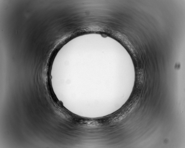 X0000103400395200810100938