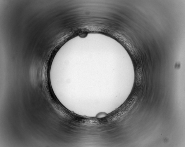 X0000103400398200810100938