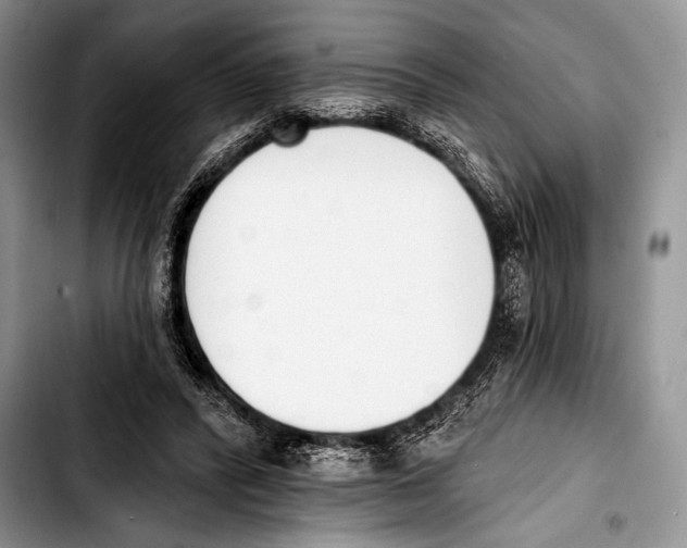 X0000103400400200810100938