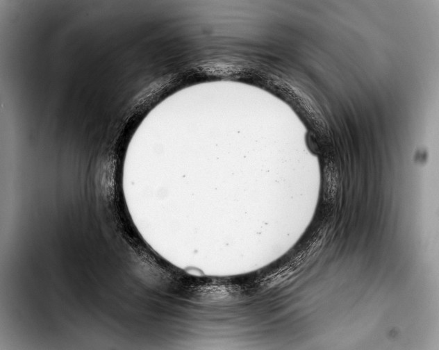 X0000103400404200810100938