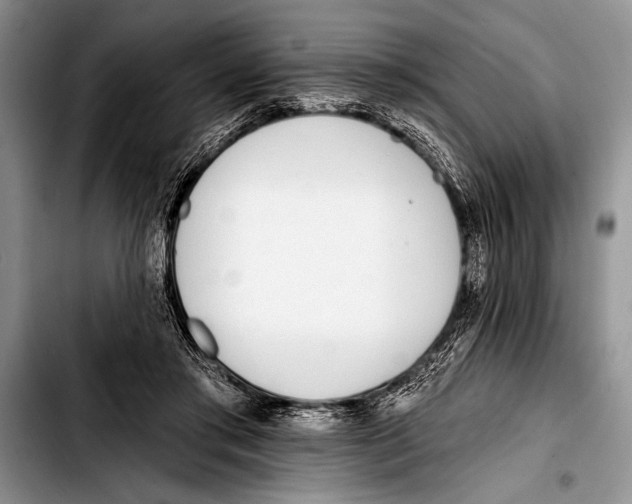 X0000103400405200810100938