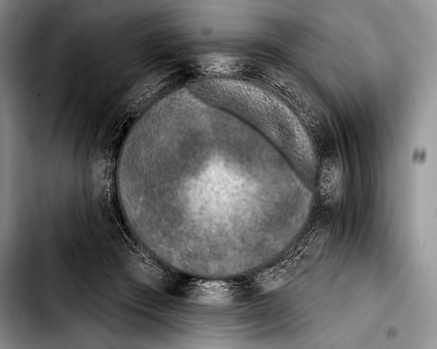 X0000103400409200810100938