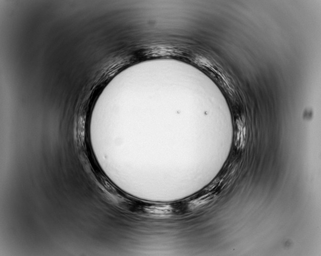 X0000103400410200810100938