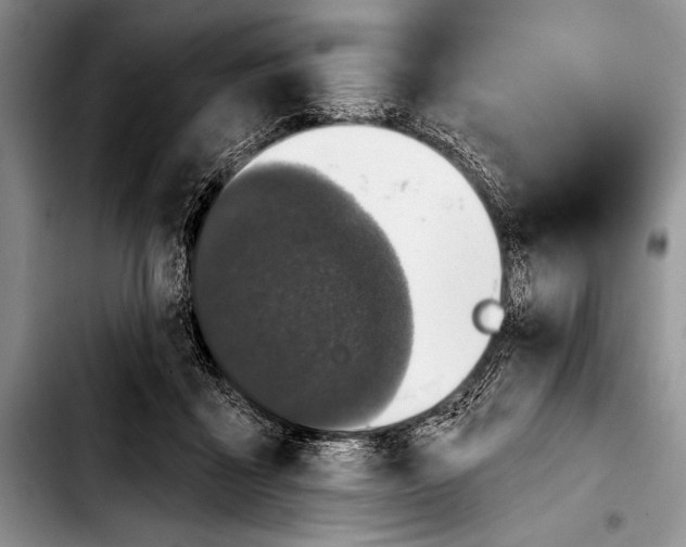 X0000103400411200810100938