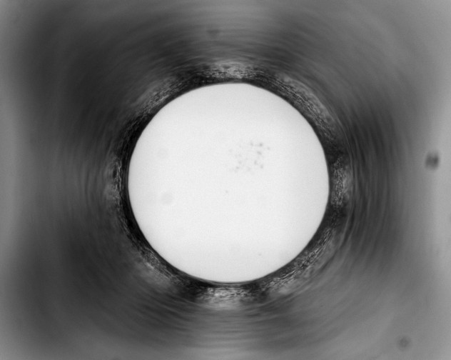 X0000103400414200810100938