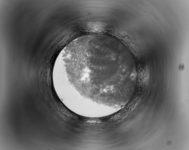 X0000103400415200810100938