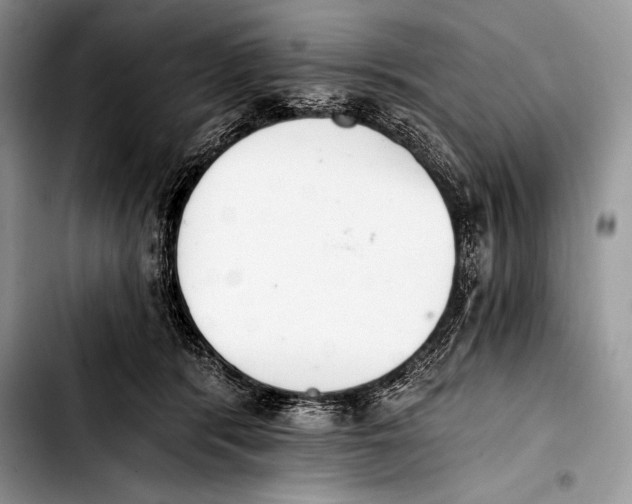 X0000103400416200810100938