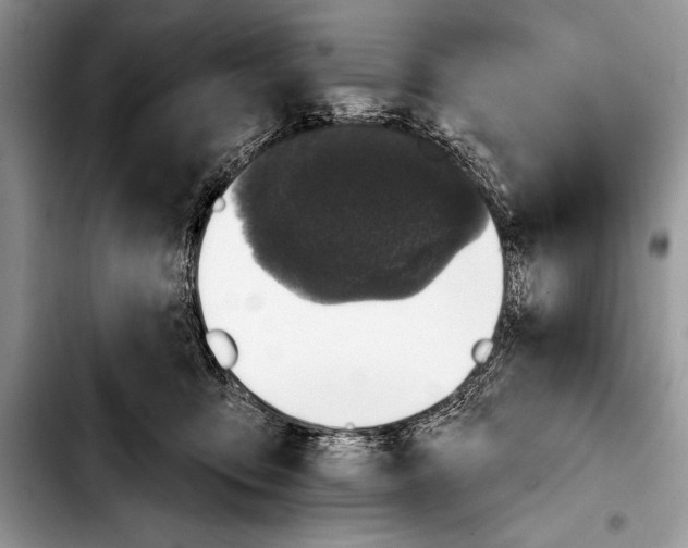 X0000103400419200810100938